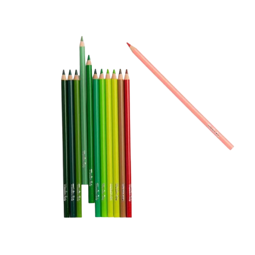 12 crayons de couleur et cartes Le botaniste - Moulin Roty – Image 2