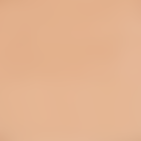 Correcteur Stick Bio & Vegan, Haute Couverture et Fini Naturel - ZAO – Image 7