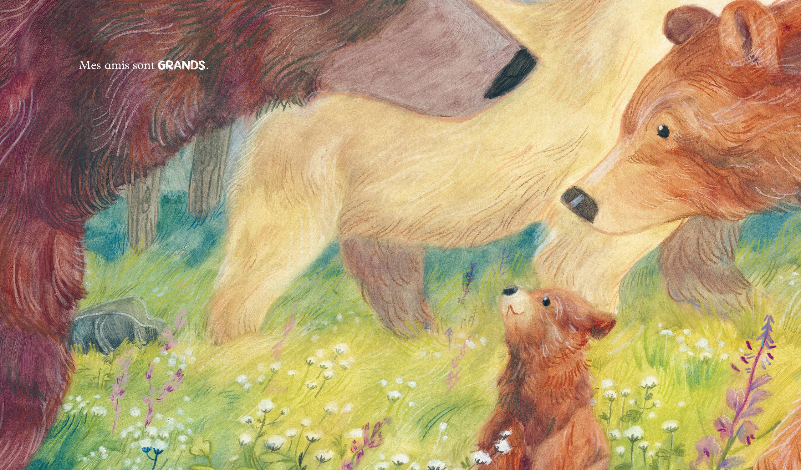 Livre dans tes pas - Auzou – Image 2