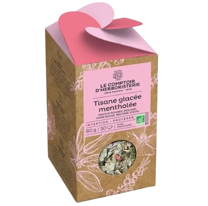 Tisane glacée mentholée BIO