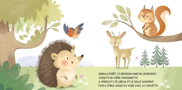 Livre Jour et nuit - La forêt - Sassi – Image 3