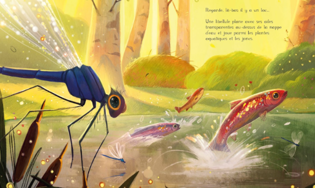 Livre Album illustré - L'été en moi - Sassi – Image 2