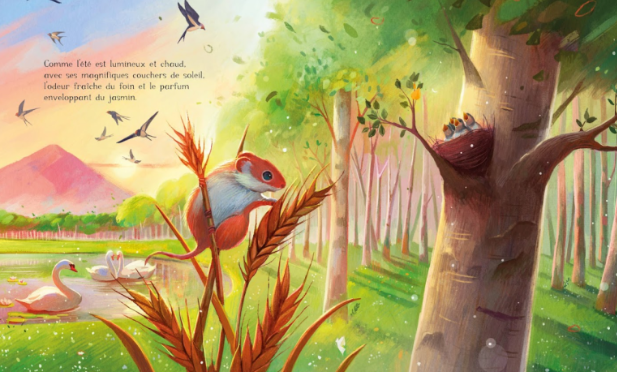 Livre Album illustré - L'été en moi - Sassi – Image 3