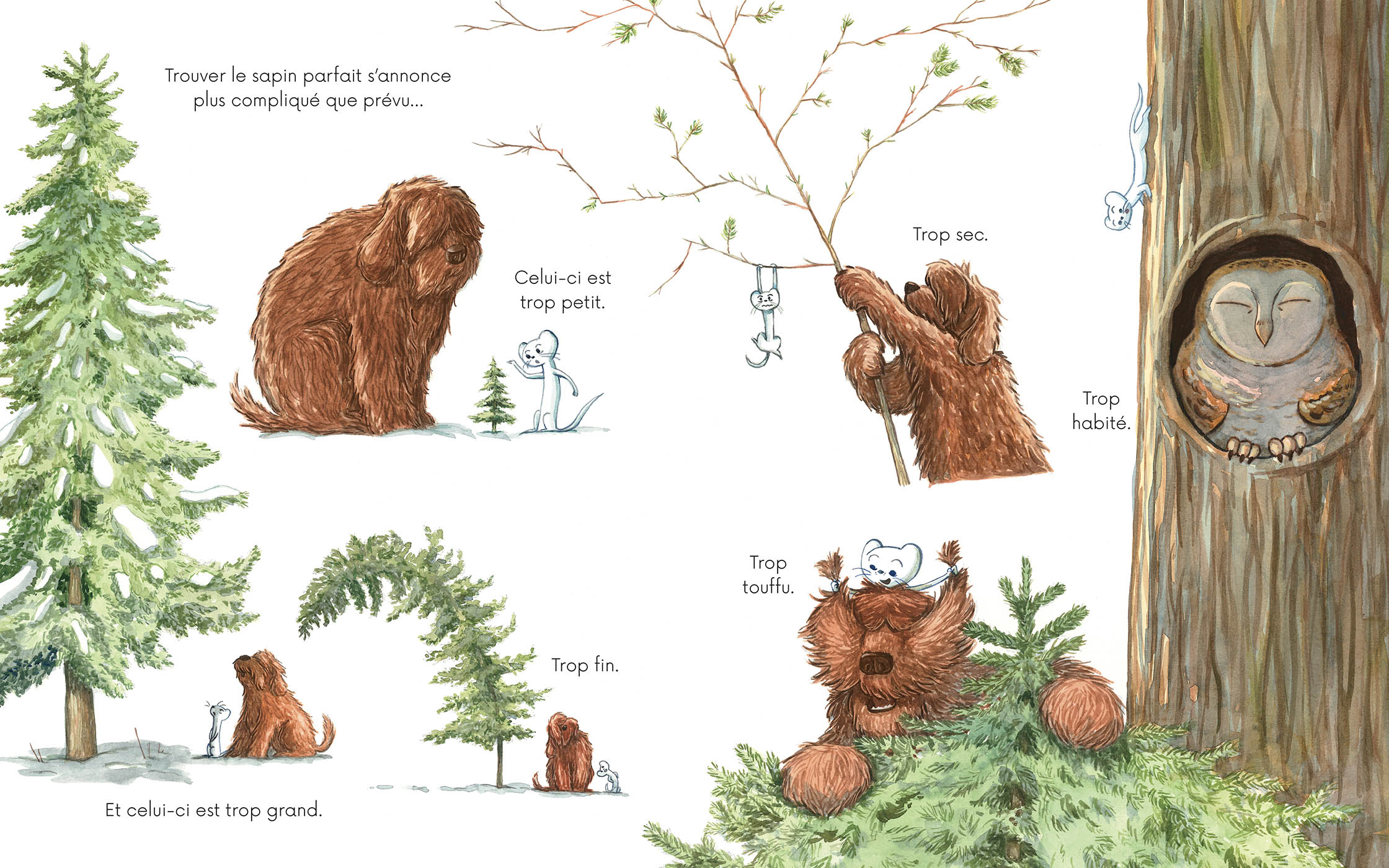 Livre Le Noël de Poil et Plume – Image 3