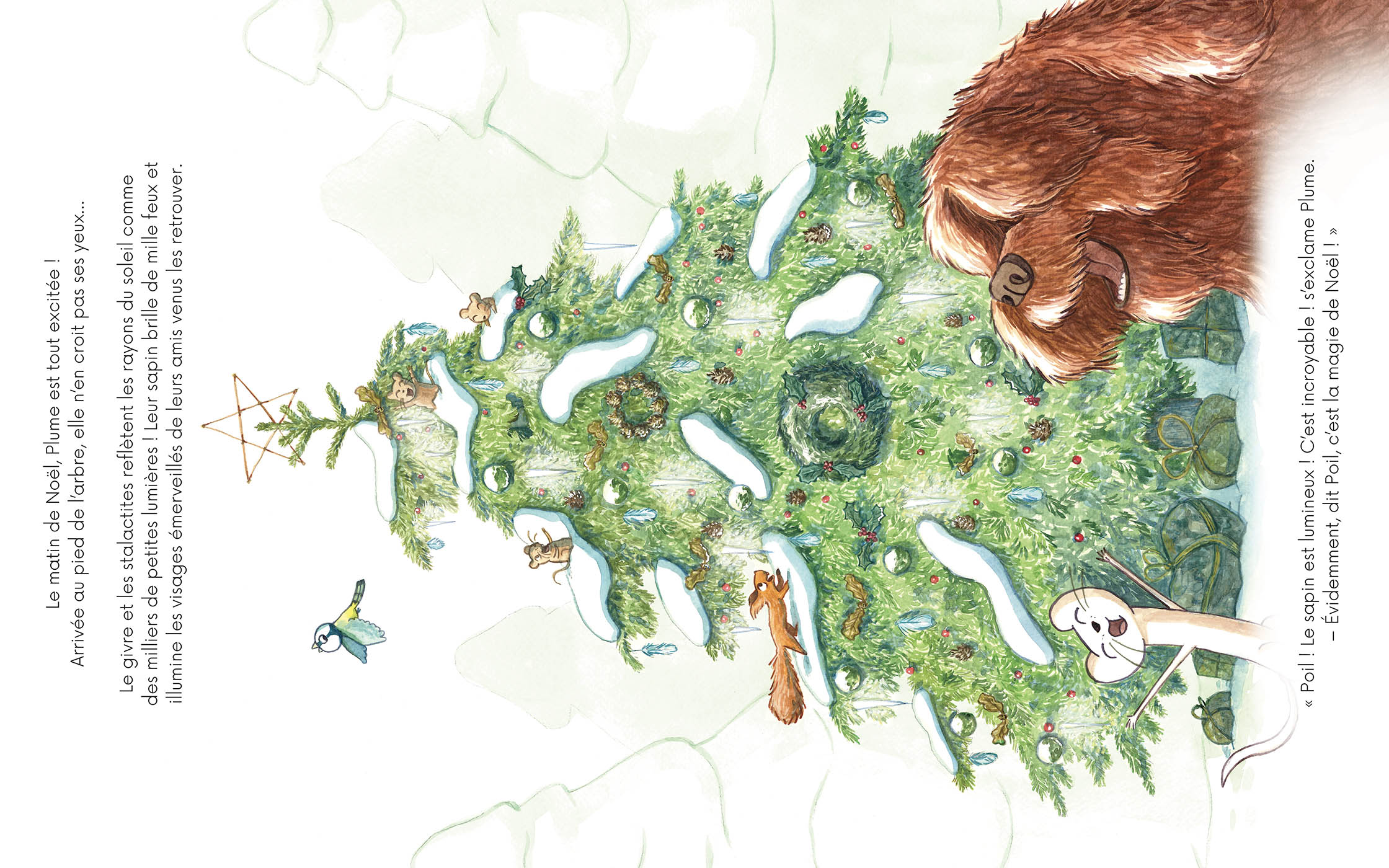 Livre Le Noël de Poil et Plume – Image 2