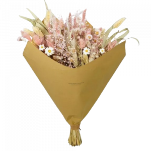 5186955-47e8fe45151cca-removebg-preview