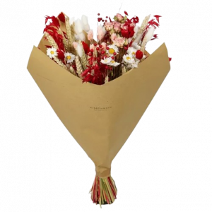 5458420-47e9442306b892-removebg-preview