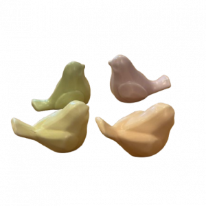 IMG_8024-removebg-preview