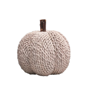 concept-store-idees-et-saveurs-citrouille_aux_tons_bruyere