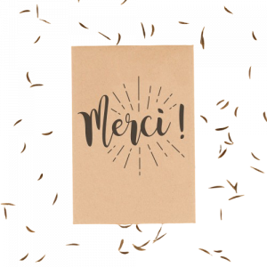 concept-store-idees-et-saveurs-Merci ! – Sachets de graines de Fleurs de champs - La fabrique à sachets