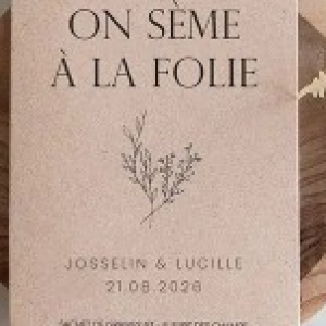 concept-store-idees-et-saveurs-On sème à la folie – Sachets de graines de Fleurs de champs - La fabrique à sachets