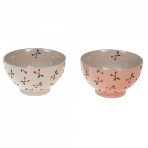 concept-store-idees-et-saveurs-bol-cerise-removebg-preview