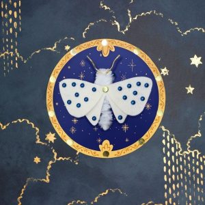 idees-et-saveurs-kit-creatif-les-insectes-atelier-imaginaire