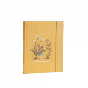 idees-et-saveurs-livre-de-naissance-trois-petits-lapins-80-pages-moulin-roty_A-removebg-preview