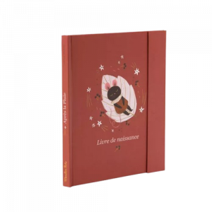 idees-et-saveurs-livret-de-naissance-apres-la-pluie-moulinroty-removebg-preview