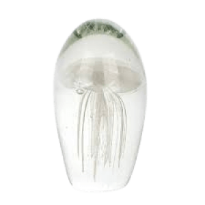 idees-et-saveurs-méduse-en-verre-removebg-preview