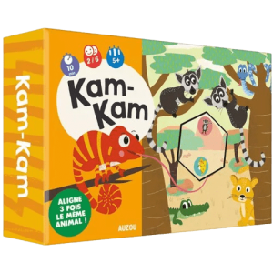 idees-et-saveurs-p-tit-jeu-de-kam-kam-auzou-removebg-preview