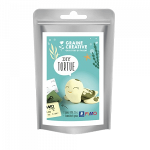 idees-et-saveurs-pate-fio-diy-tortue-removebg-preview