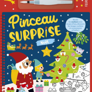 idees-et-saveurs-pinceau-surprise-noel-fleurus-removebg-preview