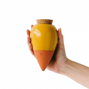 idees-et-saveurs-pot-jaune-moutarde-pepin-removebg-preview