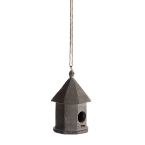 image-removebg-preview (2)