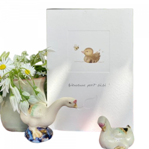 cartebienvenueaubébé_idéesetsaveurs