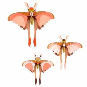 image-removebg-preview (4)